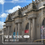뉴욕 여행 가볼만한곳 메트로폴리탄 구겐하임 미술관 센트럴파크