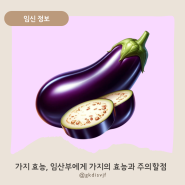 임산부에게 좋은 가지의 효능과 섭취시 주의할 점