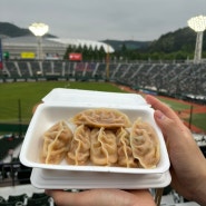 [부산 사직동 맛집] :: 사직 야구장에서 먹기 좋은 포장 전문점 ‘특별한 만두’