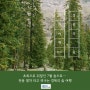 🌳초록으로 뒤덮인 7월 숲으로… 🛤️기차 타고 떠나는 경북의 숲 여행(7월 19일 or 20일 출발)