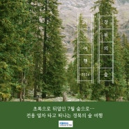 🌳초록으로 뒤덮인 7월 숲으로… 🛤️기차 타고 떠나는 경북의 숲 여행