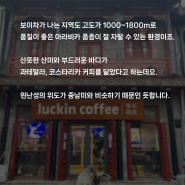 중국 윈난의 커피_ [커피 로드] 커피가 지나간 자리⑧ _아시아(4)