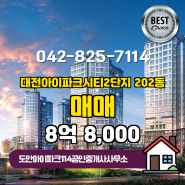 상대동 추천매물 대전아이파크시티2단지 202동 매매 8억 8,000