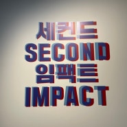 Second Impact 세컨드 임팩트 2024-2025 - 수원시립미술관 전시 후기 2