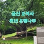 보석사 천년 은행나무 볼거리가 많은 금산 가볼 만한 곳으로 추천