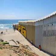 [멕시코] 동물병원 & 당일치기 국경 여행