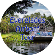 2024 캐리비안 크루즈 여행-에버글레이즈 악어 에어보트 투어 (Everglades Airboat Tour)