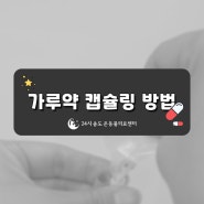 고양이 강아지 가루약 캡슐로 만드는 방법 동영상