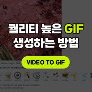 영상 gif 변환 제일 좋다고 느낀 사이트 (아이폰 gif 변환 넘 구림)