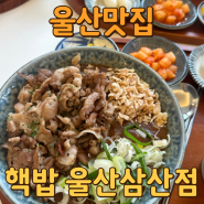 구디맘 블로그 - 울산맛집 [핵밥 울산삼산점] 추천