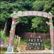 부산 숲또랑길 대신공원 맨발황톳길 걷기 좋은 산책로 (ft,꽃마을)