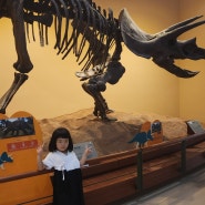 서울 아이와가볼만한 곳! 서대문자연사박물관에서 공룡뼈 실컷보고왔어요.