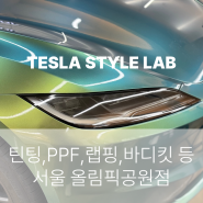 [테슬라 스타일 랩] 틴팅, PPF, 스마트 필름, 랩핑, 바디킷 (📍서울 올림픽공원점)