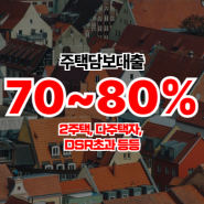 2주택, 다주택자, DSR 초과 등등 (아파트, 빌라, 원룸, 다가구, 단독)주택담보대출 한도 70~80%로 받아야 한다면 꼭 확인하세요.