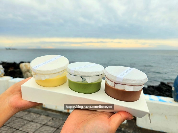 제주 공항 근처 제주 우무 커스타드 말차 초코 푸딩 맛 비교 솔직후기 : 네이버 블로그