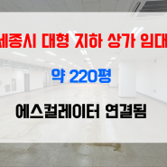 세종시 대형 지하 상가 임대 약 220평