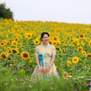 안성팜랜드 2024 썸머 플라워 천만송이 해바라기축제에 다녀온 이야기.