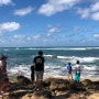 하와이 자유여행, 노스쇼어 거북이 비치