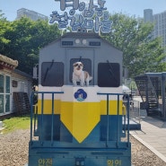 군산 애견동반 여행 레트로 감성 경암동 철길마을 강아지랑 갈만한 곳