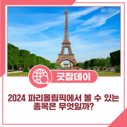 2024 파리올림픽에서 볼 수 있는 종목은 무엇일까? 신규종목 브레이킹도 함께 알아보아요!