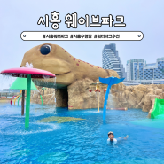 시흥 웨이브파크 미오코스타 워터파크 야외수영장 가격 할인 추천
