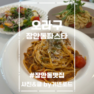 장안동파스타 오라구 직접 만든 라구소스로 만든 라자냐가 맛있는 파스타집