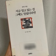 류시화 잠언시집 『지금 알고 있는 걸 그때도 알았더라면』