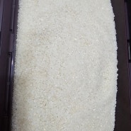 여름철 쌀보관 방법
