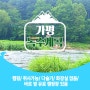 서울 근교 노지 캠핑(우중캠핑)다슬기 많은 녹수계곡 후기