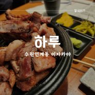 수원시청역 맛집 인계동 이자카야 '하루'