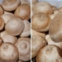 별빛꿈맘님의 표고버섯 보관방법 자연건조