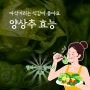 양상추 효능, 아삭거리는 식감이 좋아요