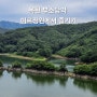 대청호에 떠있는 병풍바위 부소담악 _ 미르정원에서 즐기기 (feat. 보트뷰)