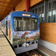 일본 소도시 여행 후쿠이 공룡 교통수단(공룡 열차, 공룡 버스) 정보