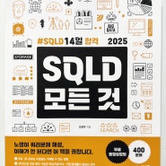 SQLD 14일 합격 플랜 : 2025 SQLD 모든 것