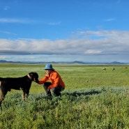 #몽골 여행 5~6일차 : 울란바토르