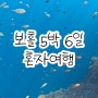 보홀 혼자여행 5박 6일 완벽코스! 항공권, 숙소, 일정, 경비 등 후기