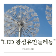 LED경관조형물 광섬유민들레등으로 조경시설물 조성하기