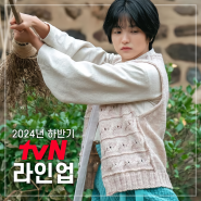 2024년 하반기 tvN 드라마 라인업