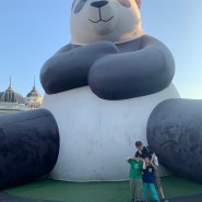 가족여행으로 다녀 온 용인 에버랜드_사파리, 아마존익스프레스, 장미축제