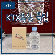 부산역 KTX 특실 탑승 후기 예약 꿀팁 할인