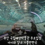 부산 국립해양박물관 무료입장 아이와 가기좋은 곳