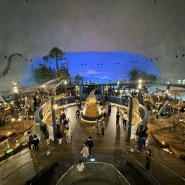 일본 소도시 여행 후쿠이 가볼만한곳 후쿠이 현립 공룡 박물관 정보