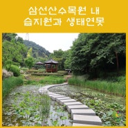 삼선산수목원 내 습지원과 생태연못