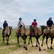 #몽골 여행 4일차 : 미니사막