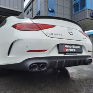 CLS400d 53amg 스타일 디퓨져와 블랙듀얼팁(C257)