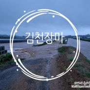 김천 장마 폭우에 따른 피해~