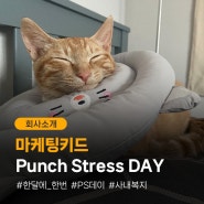 [회사소개] 마케팅키드 Punch Stress Day