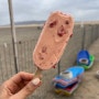 몽골 편의점 마트 아이스크림 추천 🍓 딸기초코맛
