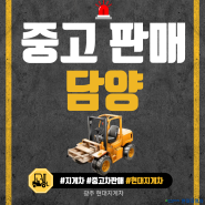 [중고 판매] 중고 지게차 판매 3.5톤 상태 최상. 광주 현대 지게차